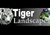 Tiger Landscapes