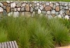 Water and Landscape Solutions