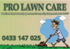 PRO LAWN CARE