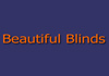 Beautiful Blinds