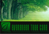 Evergreen Tree Care