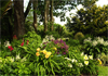 Mountain View Daylily Nursery