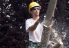 Lawn Care And Tree Felling Service
