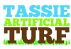 Tassie Artificial Turf