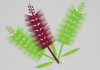 Sunshine Coast Native Landscapes
