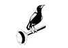 Magpie Plumbing & Handyman Services
