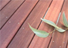 Deck Renew