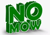 No Mow Synthetic Turf