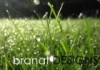 Branat Designs