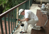 T.J O'Dea Painting & Decorating