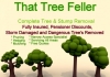That Tree Feller