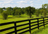 Steadfast Fences