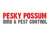 Pesky Possum