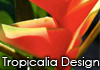 Tropicalia Design