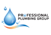 Professional Plumbing Group