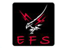 Electrical & Fire Services