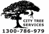 City Tree Services Eight Mile Plains
