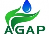 Artificial Grass and Plants