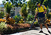 SEED Parks and Property Maintenance