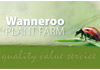 Wanneroo Plant Farm