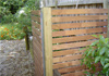Ben Thompson Fencing