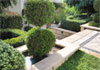 Decorative Paving Landscaping