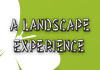 A Landscape Experience