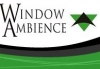 Window Ambience