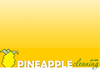 Pineapple Cleaning Services - High Pressure Cleaning