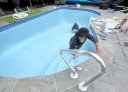 Morrison Pool Renovations