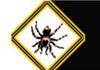 Pest Inspections & Control services