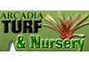 Arcadia Turf