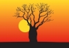Remote Area Tree Services