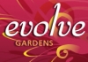 Garden Design, Installation & Maintenance for Urban Gardens