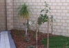 KB Garden Care