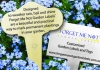 Forget Me Not Garden Style