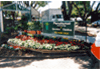 Penshurst Nursery & Landscape