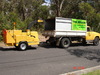 STEVE CLENCIE TREE SERVICES