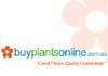 Buy Plants Online