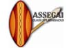 Assegai Glass Splashbacks