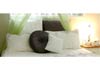Blue Lily Interiors