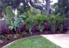 Southcoast Scapes