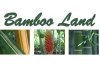 Bamboo Land