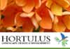 Hortulus Landscape Design and Management