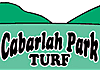 Cabarlah Park Turf