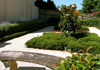 Georgia Harper Landscape Designer