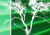 Advance Tree Lopping P/L