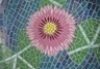 Mosaics by Brenda