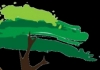 Allterrain Landscapes