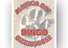 Aldinga Bay Dingo